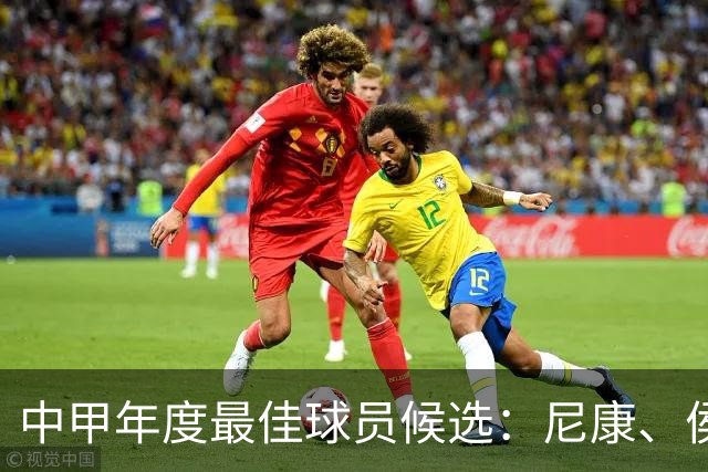中甲年度最佳球员候选：尼康、侯煜、卡卢卢、谭龙等人入选