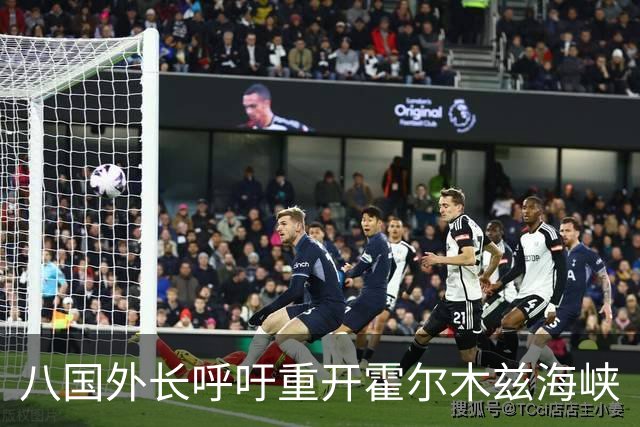 八国外长呼吁重开霍尔木兹海峡