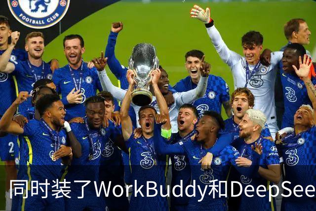 同时装了WorkBuddy和DeepSeek，试用5天之后，我卸载了其中一个