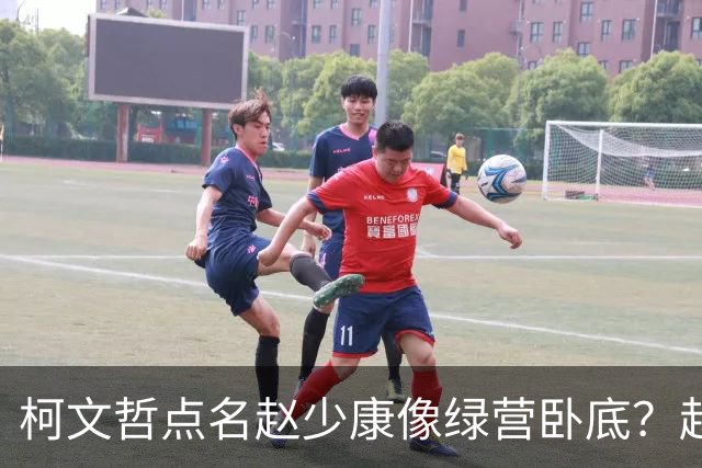 柯文哲点名赵少康像绿营卧底？赵少康急忙回应，柯向郑丽文亮底牌