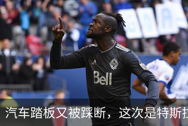 汽车踏板又被踩断，这次是特斯拉和女车主，评论区却先吵翻了
