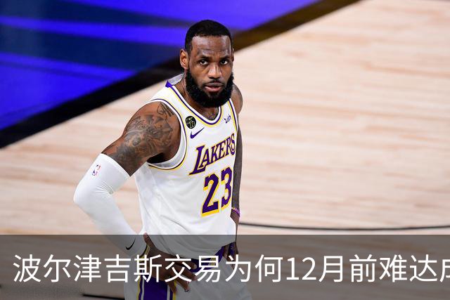 波尔津吉斯交易为何12月前难达成？美记点出两大障碍
