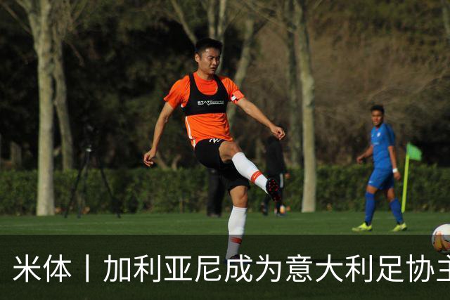 米体丨加利亚尼成为意大利足协主席热门人选