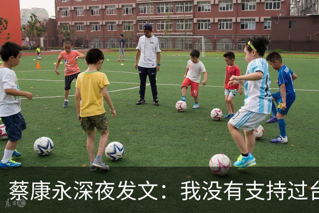 蔡康永深夜发文：我没有支持过台独