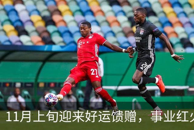 11月上旬迎来好运馈赠，事业红火走上坡，好消息不断的3个生肖